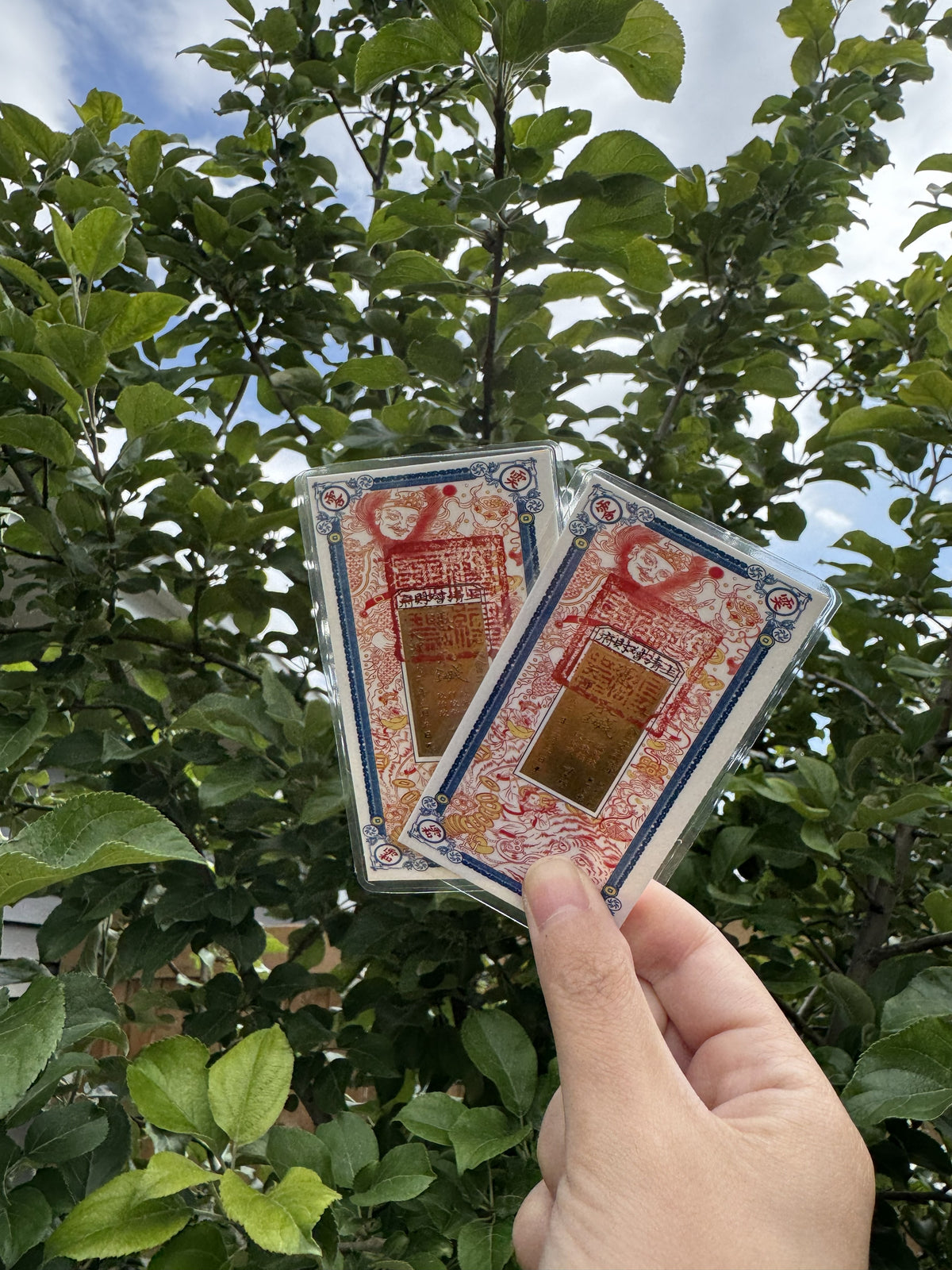 钱母｜Qian Mu Wealth Talisman